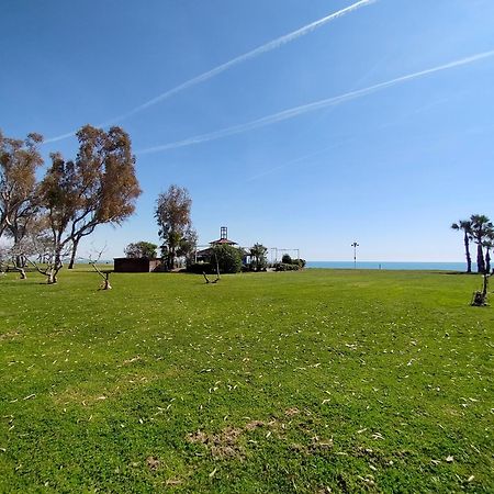 Acv - Costa Marina II - 1ª Linea, Planta 10, Sur Lejlighed Oropesa del Mar Eksteriør billede